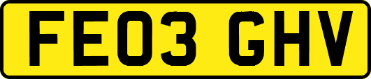 FE03GHV