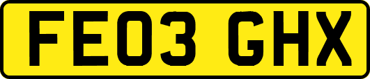 FE03GHX