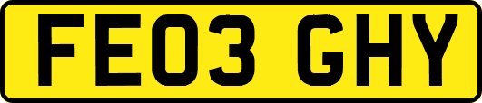 FE03GHY