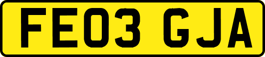 FE03GJA