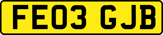FE03GJB