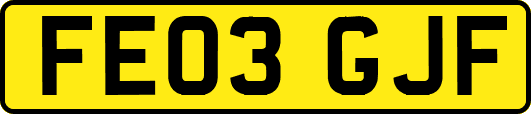 FE03GJF