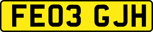 FE03GJH