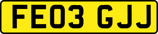 FE03GJJ