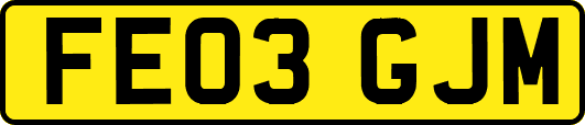 FE03GJM