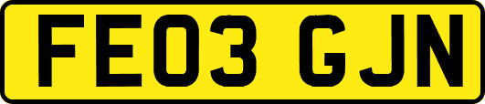 FE03GJN