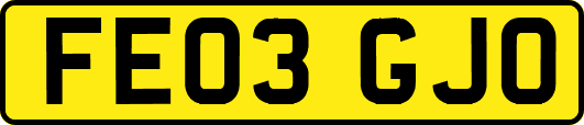 FE03GJO