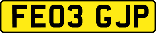 FE03GJP