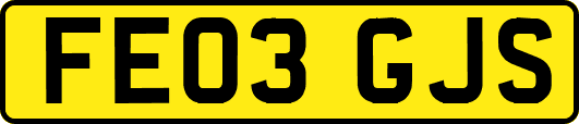 FE03GJS