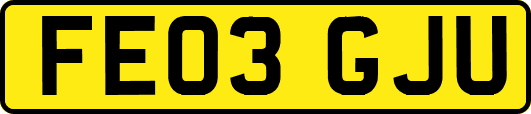 FE03GJU