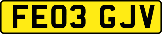 FE03GJV