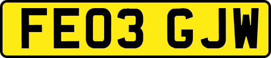 FE03GJW