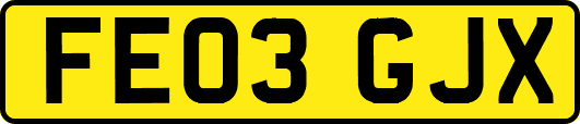 FE03GJX