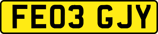 FE03GJY