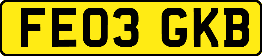 FE03GKB