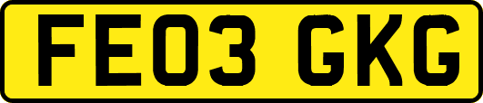 FE03GKG