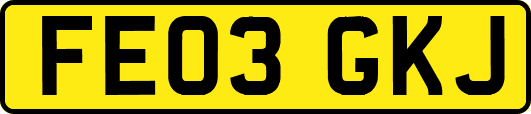 FE03GKJ