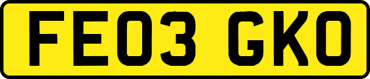 FE03GKO
