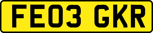 FE03GKR