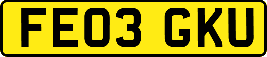 FE03GKU