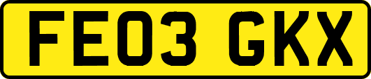 FE03GKX