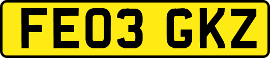 FE03GKZ