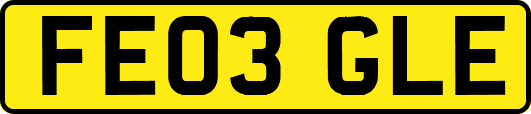 FE03GLE