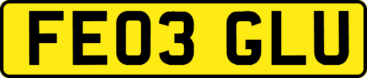 FE03GLU