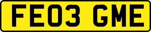 FE03GME