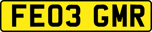 FE03GMR