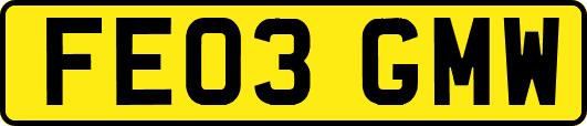FE03GMW