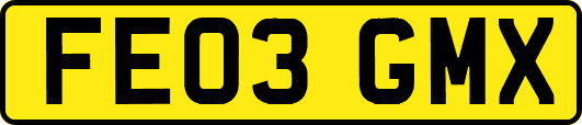 FE03GMX