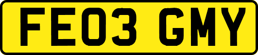 FE03GMY