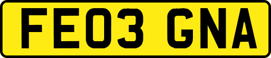 FE03GNA