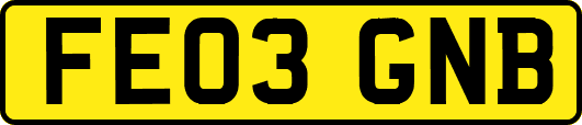 FE03GNB