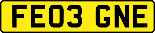 FE03GNE