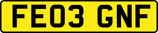 FE03GNF