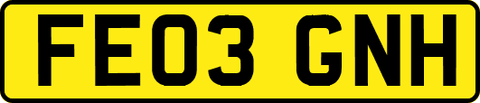 FE03GNH