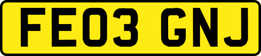 FE03GNJ