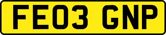 FE03GNP