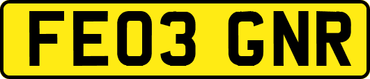 FE03GNR