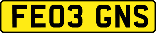 FE03GNS