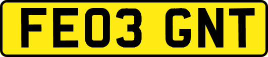FE03GNT