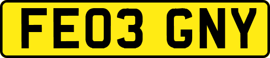 FE03GNY