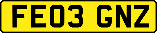 FE03GNZ