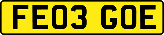 FE03GOE