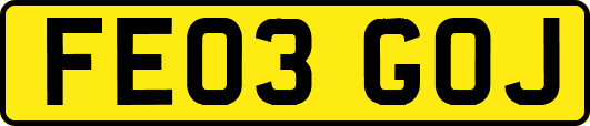 FE03GOJ