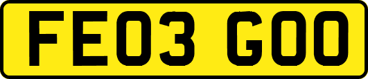FE03GOO