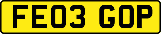FE03GOP