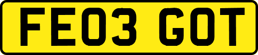 FE03GOT